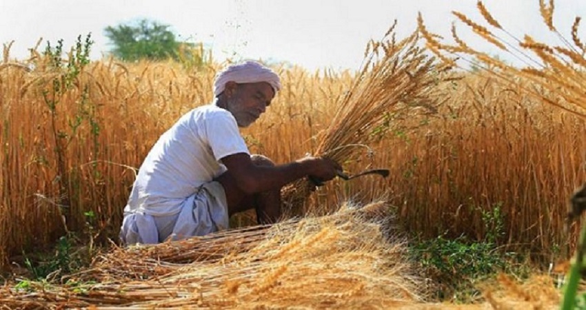 भारत के कृषि कानूनों के खिलाफ अमेरिका के शहरों में सिख-अमेरिकियों ने निकाली विरोध रैलियां भारत के कृषि कानूनों के खिलाफ अमेरिका के शहरों में सिख-अमेरिकियों ने निकाली विरोध रैलियां